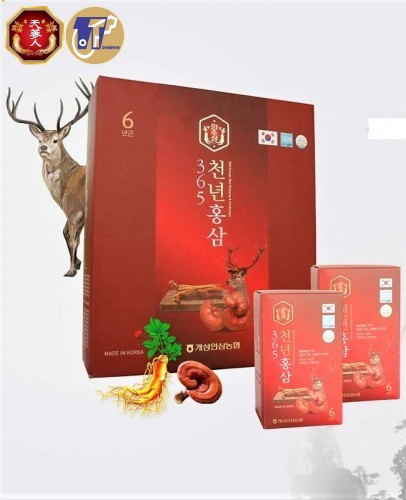 ⭐️Nước Chiết Xuất Hồng Sâm Nhung Hươu Linh Chi 365 Hàn Quốc Hộp 60 Gói x 70ml